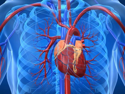 Một loại thuốc giảm cân Trung Quốc gây truỵ tim