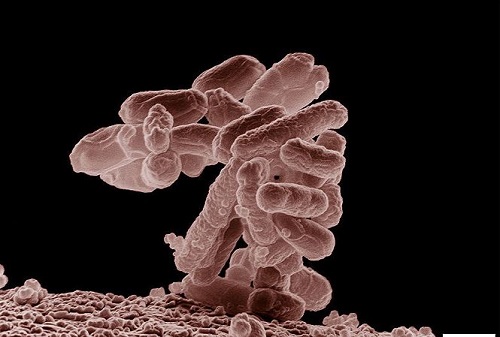 nguyen nhan nhiem hiv aids