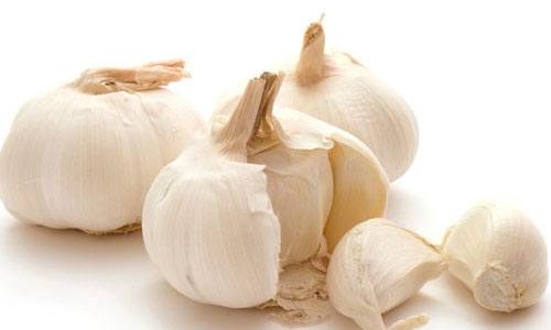 công dụng của tỏi